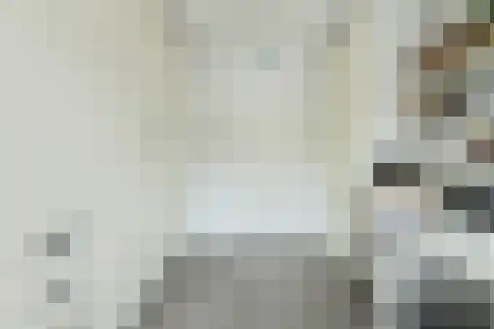 Grote Houw 309 Breda thumbnail 33