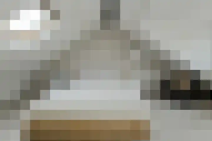 Grote Houw 309 Breda thumbnail 34