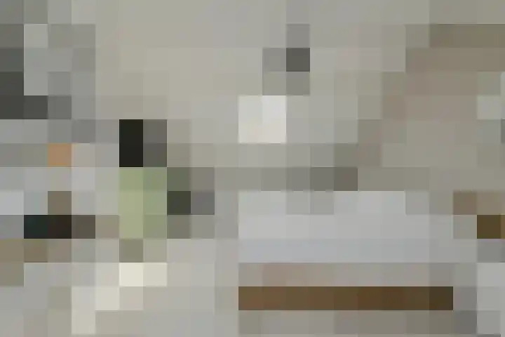 Grote Houw 309 Breda thumbnail 35