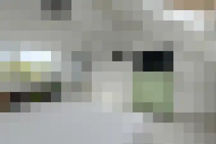 Grote Houw 309 Breda thumbnail 37