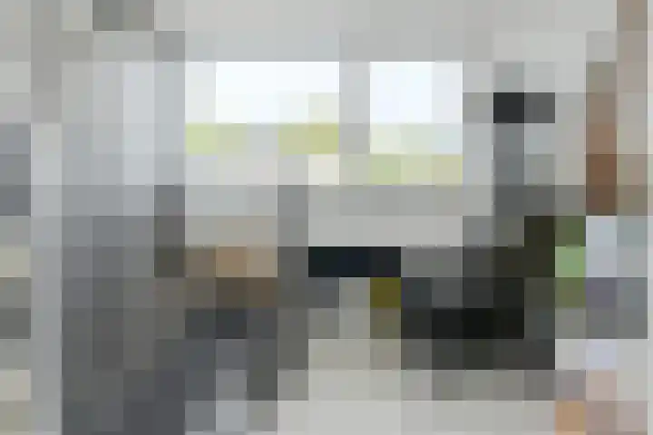 Grote Houw 309 Breda thumbnail 38