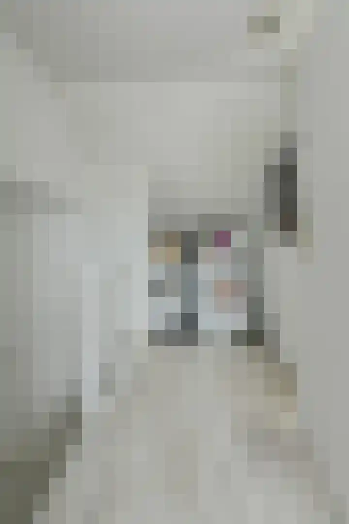 Grote Houw 309 Breda thumbnail 39