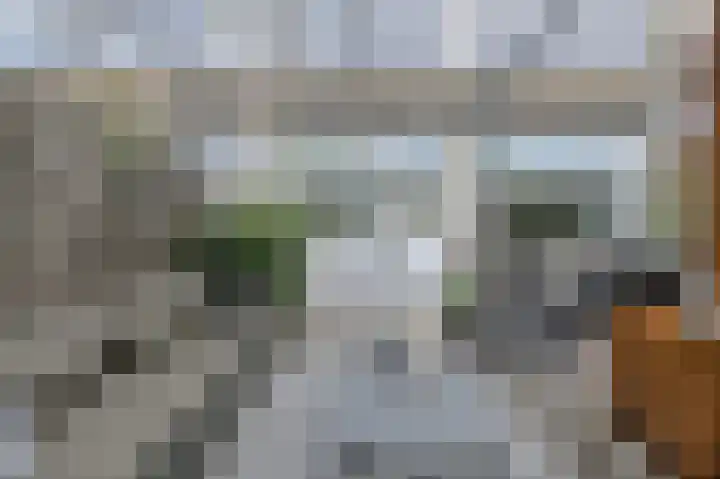 Grote Houw 309 Breda thumbnail 44