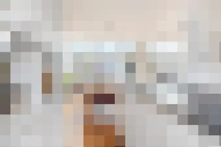Grote Houw 38 Breda thumbnail 10