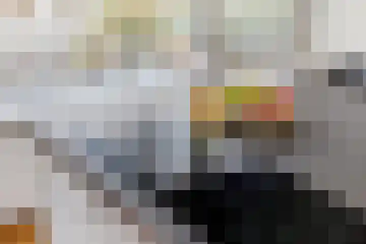 Grote Houw 38 Breda thumbnail 12