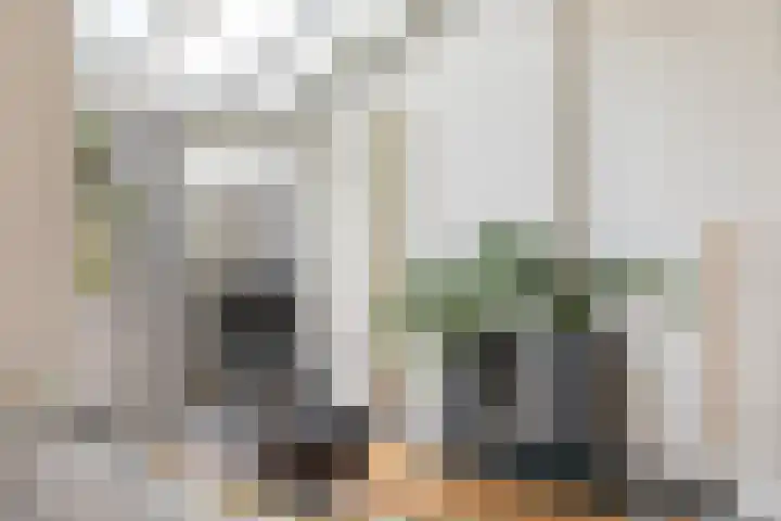 Grote Houw 38 Breda thumbnail 17