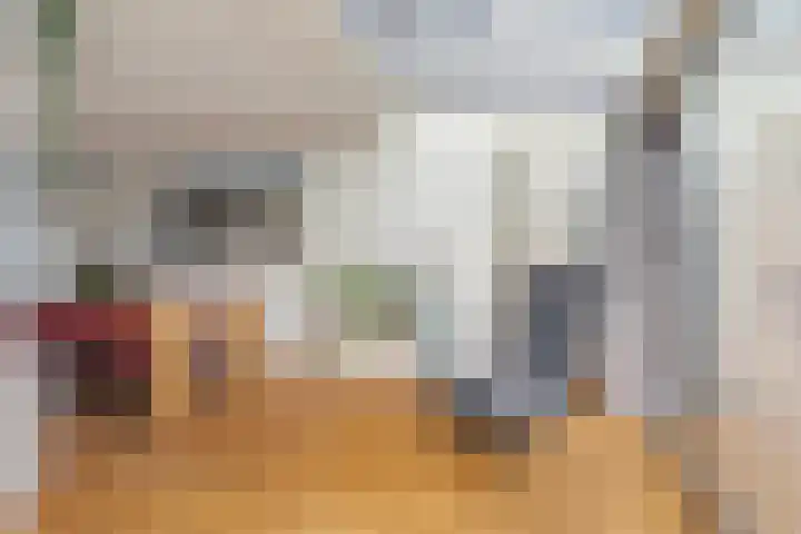 Grote Houw 38 Breda thumbnail 19
