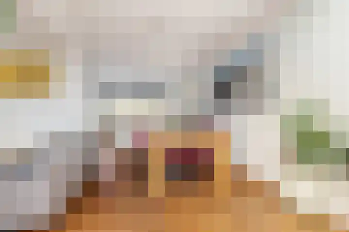 Grote Houw 38 Breda thumbnail 20