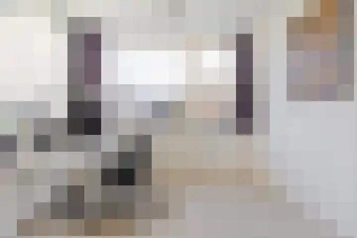 Grote Houw 38 Breda thumbnail 21