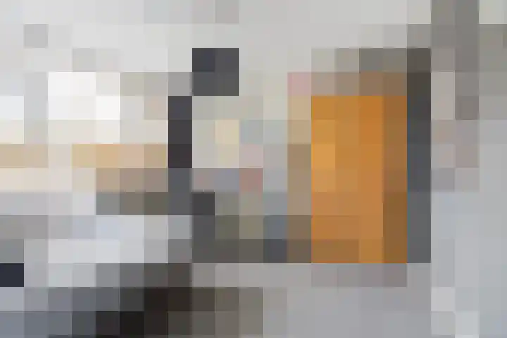 Grote Houw 38 Breda thumbnail 24