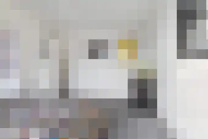 Grote Houw 38 Breda thumbnail 26