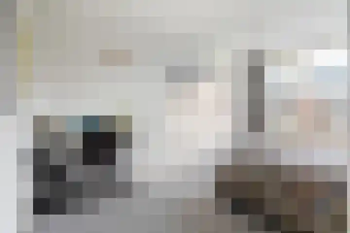 Grote Houw 38 Breda thumbnail 28