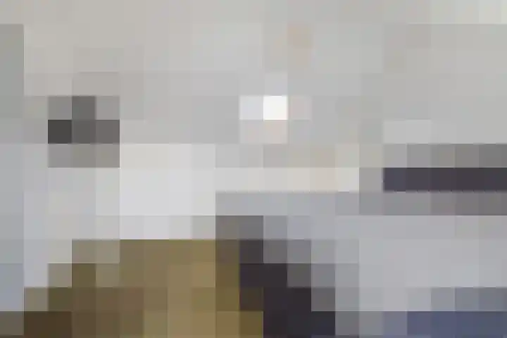 Grote Houw 38 Breda thumbnail 30
