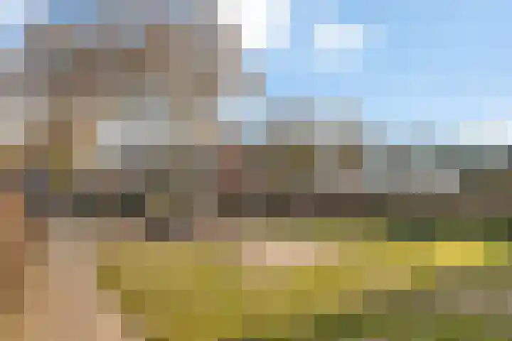 Grote Houw 38 Breda thumbnail 35