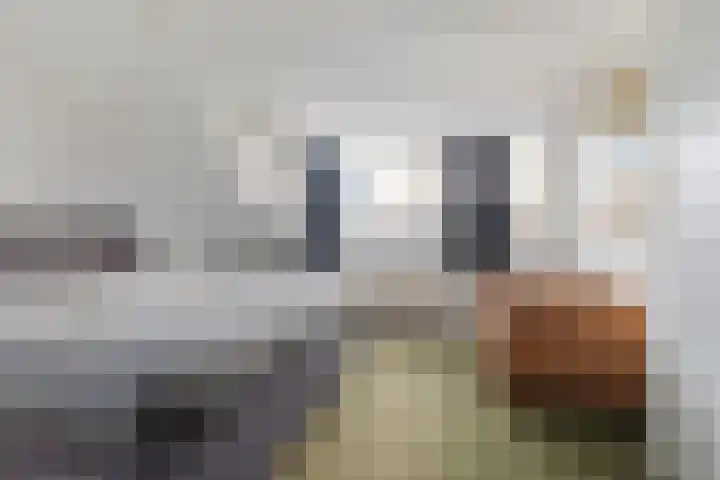 Grote Houw 38 Breda thumbnail 4
