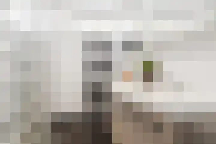 Grote Houw 38 Breda thumbnail 5