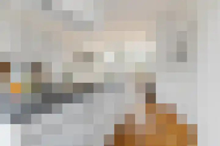 Grote Houw 38 Breda thumbnail 9