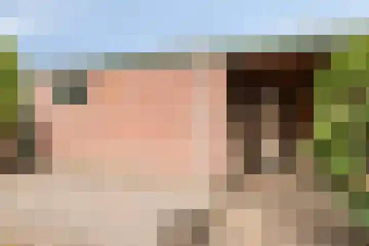 Grote Houw 50 Breda thumbnail 26