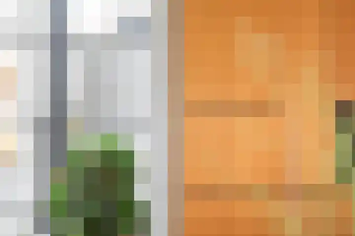 Grote Huilakker 7 Didam thumbnail 20