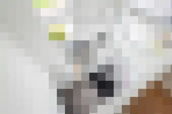 Grote Huilakker 7 Didam thumbnail 30