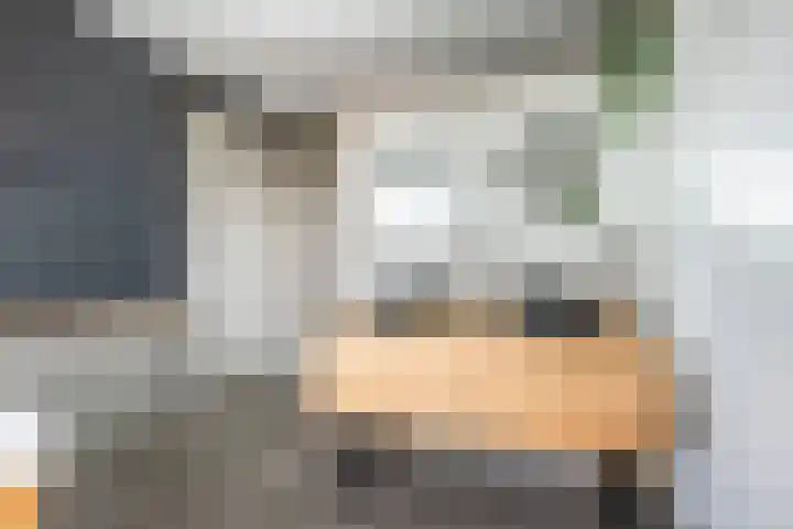 Grote Huilakker 7 Didam thumbnail 35