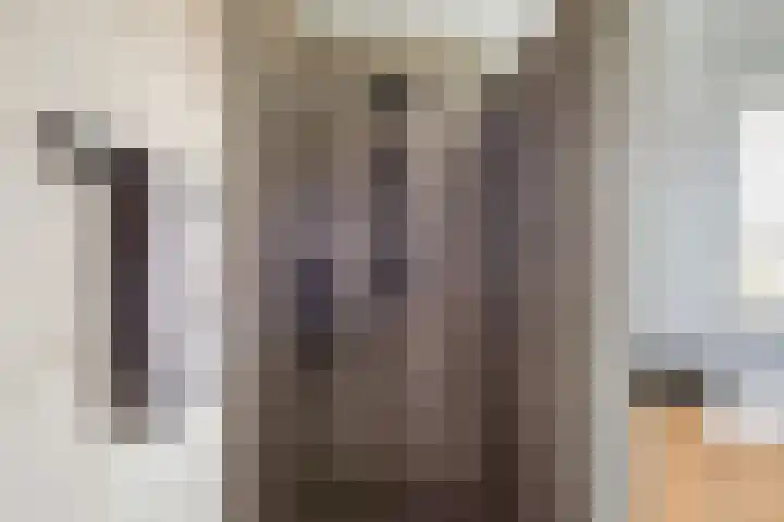 Grote Huilakker 7 Didam thumbnail 38