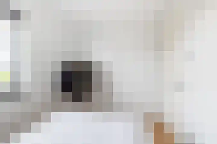 Grote Huilakker 7 Didam thumbnail 40