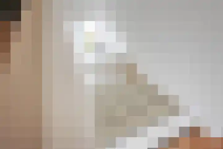 Grote Huilakker 7 Didam thumbnail 42