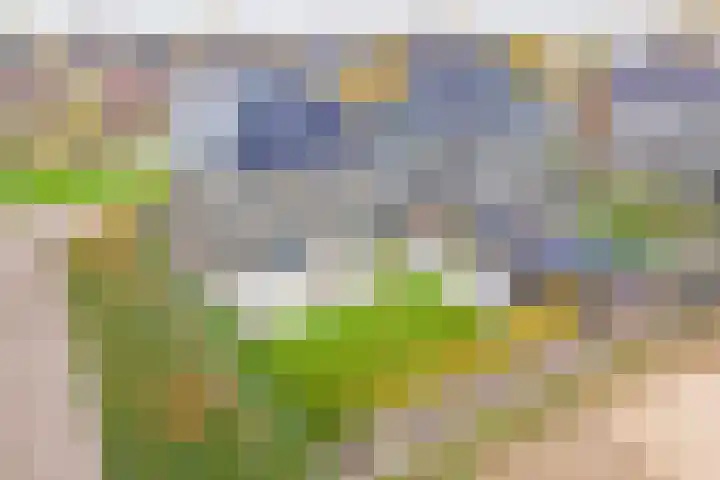 Grote Huilakker 7 Didam thumbnail 47