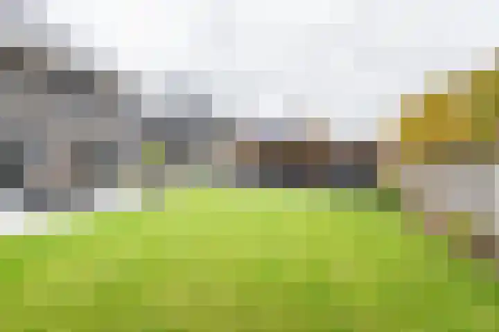Grote Huilakker 7 Didam thumbnail 49