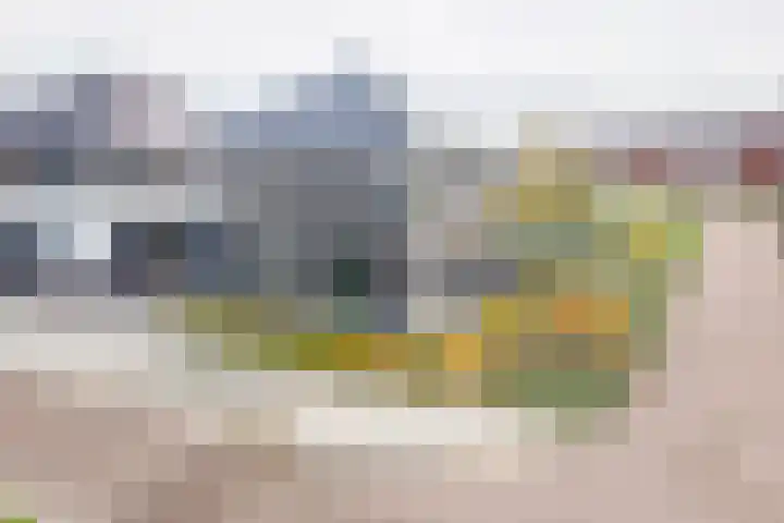 Grote Huilakker 7 Didam thumbnail 5