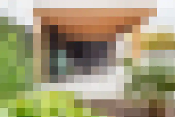 Grote Huilakker 7 Didam thumbnail 50