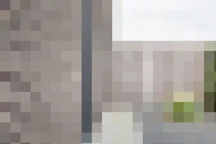 Grote Huilakker 7 Didam thumbnail 54