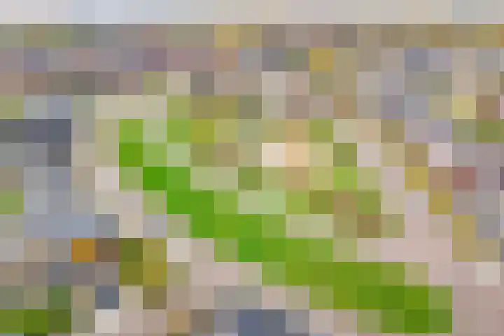 Grote Huilakker 7 Didam thumbnail 55