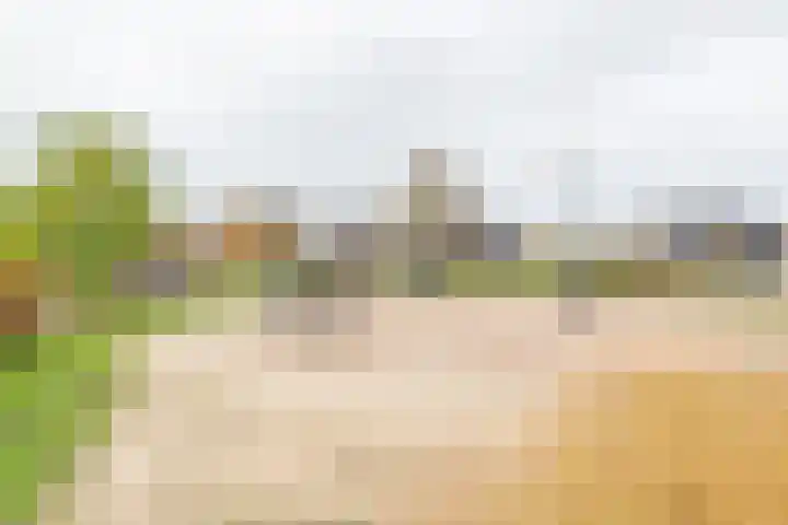 Grote Huilakker 7 Didam thumbnail 56