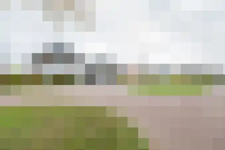 Grote Huilakker 7 Didam thumbnail 57