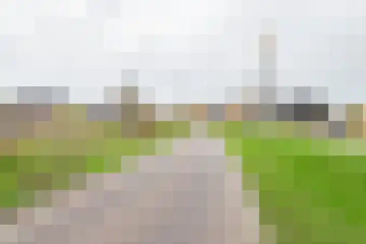 Grote Huilakker 7 Didam thumbnail 58