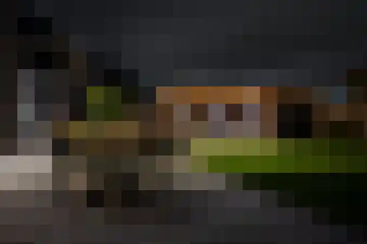 Grote Huilakker 7 Didam thumbnail 61