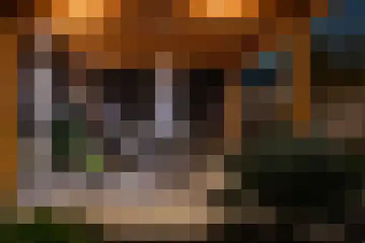 Grote Huilakker 7 Didam thumbnail 62
