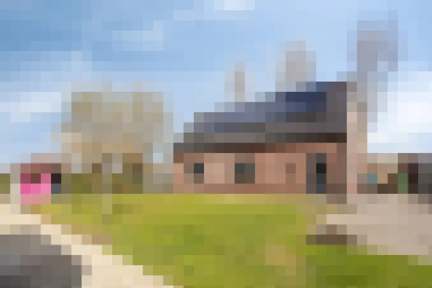 Grote Huissenspolderweg 9 Zaamslag thumbnail 43