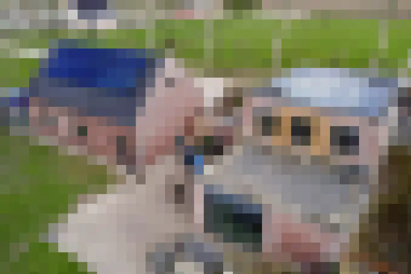 Grote Huissenspolderweg 9 Zaamslag thumbnail 50