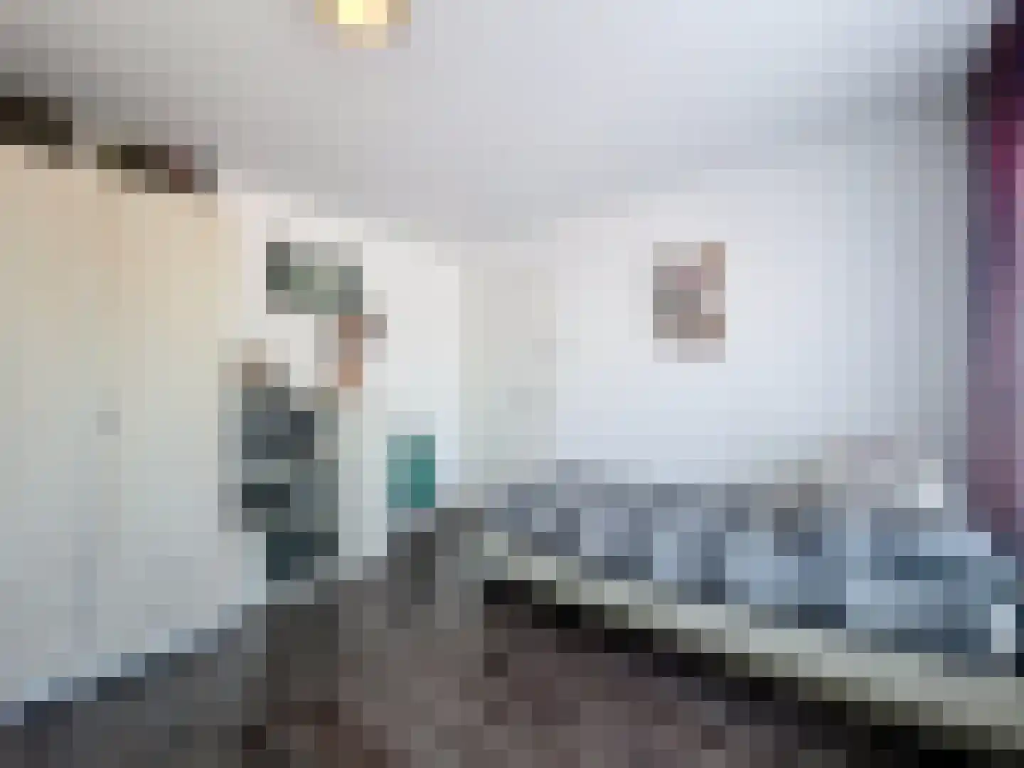 Grote Kade 13 Breskens thumbnail 19