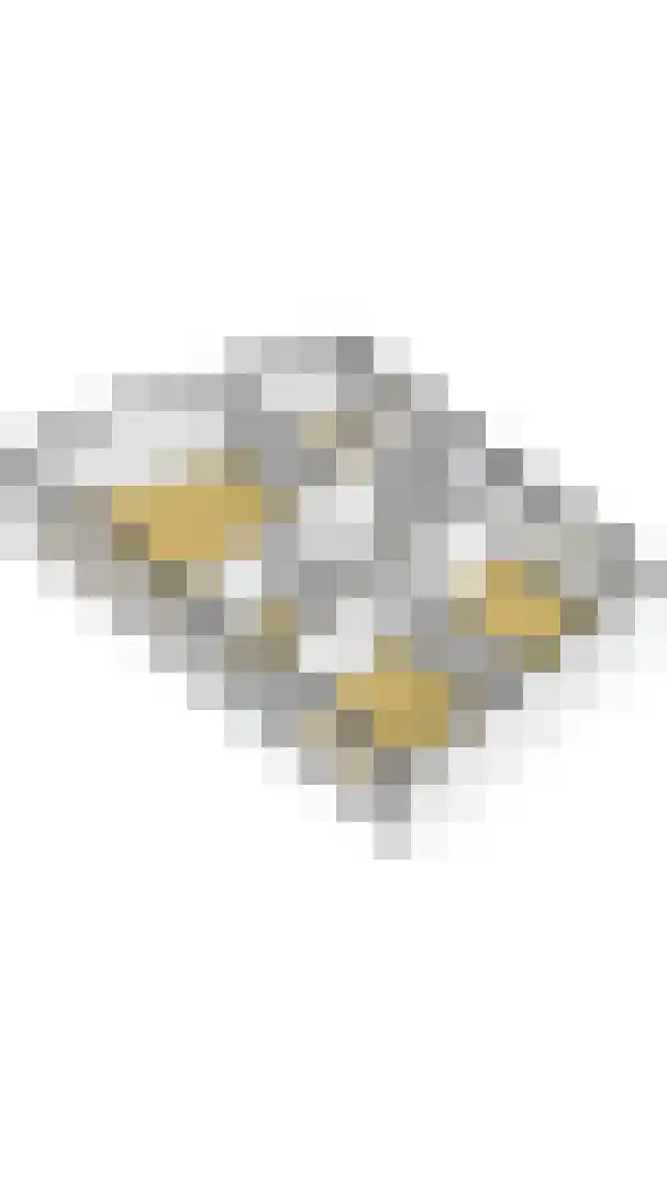Grote Kade 13 Breskens thumbnail 47