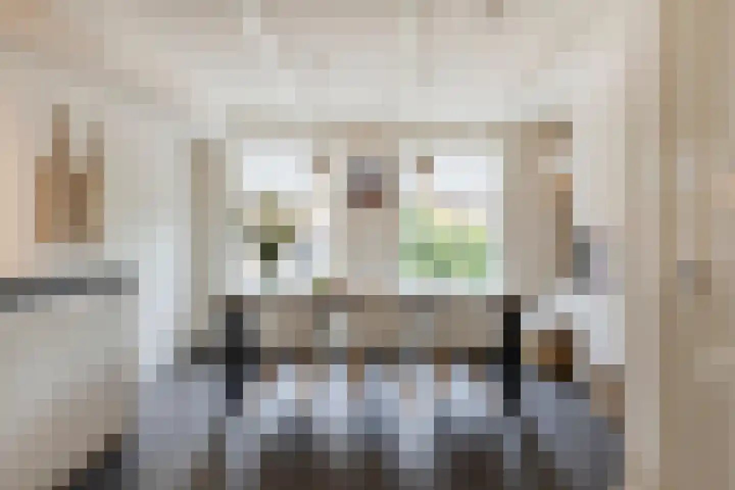 Grote Kade 16 Goes thumbnail 14