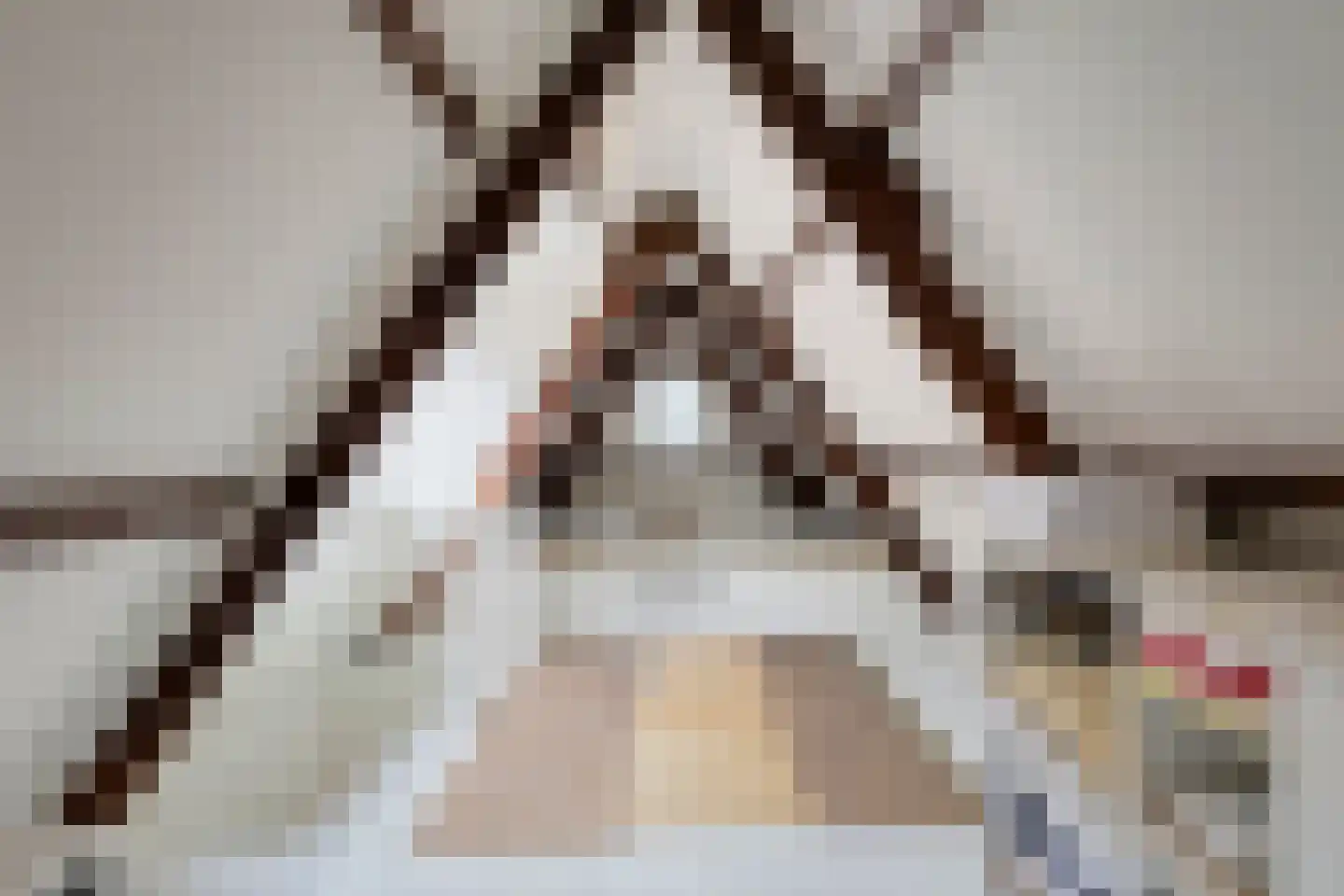 Grote Kade 16 Goes thumbnail 31