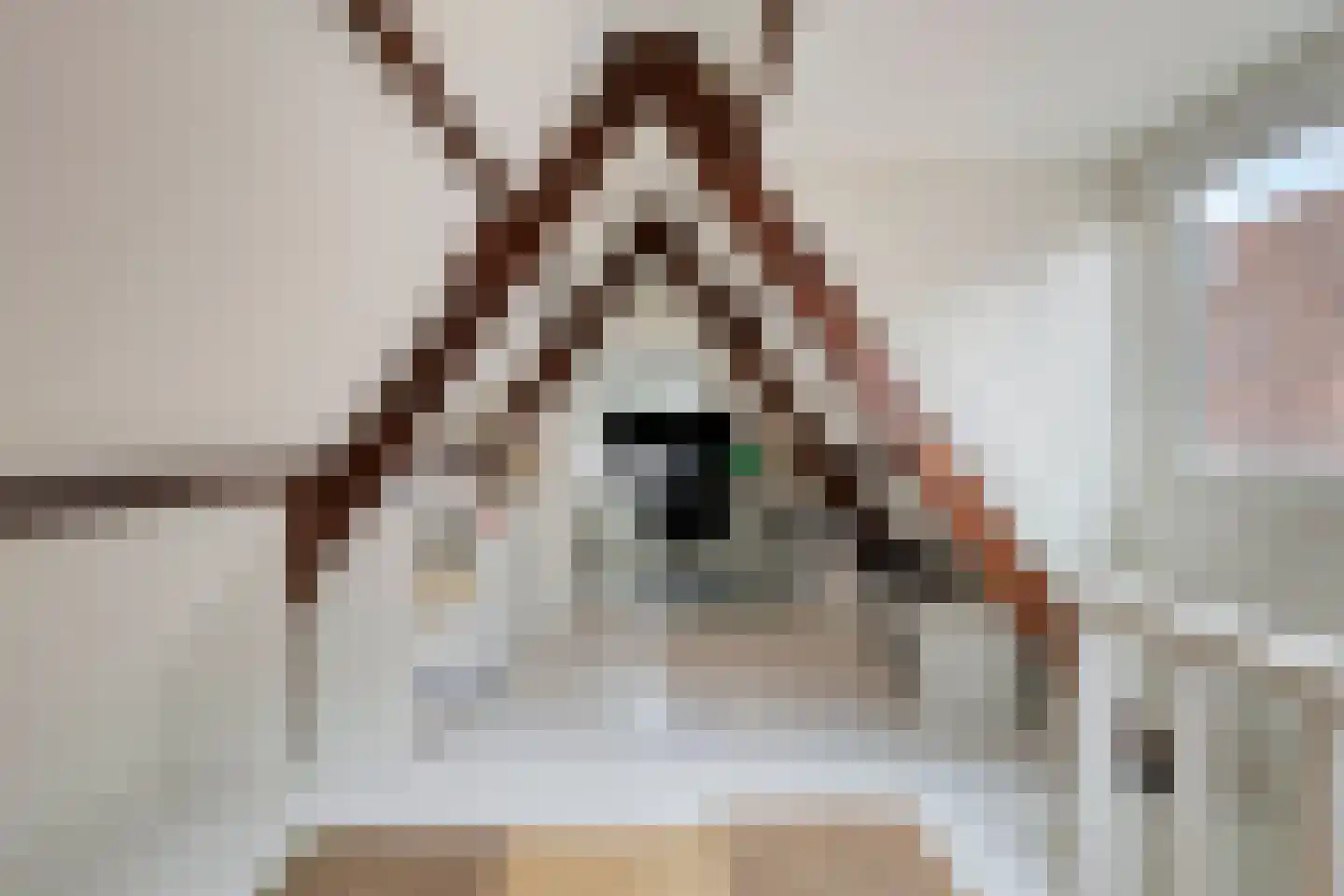 Grote Kade 16 Goes thumbnail 33
