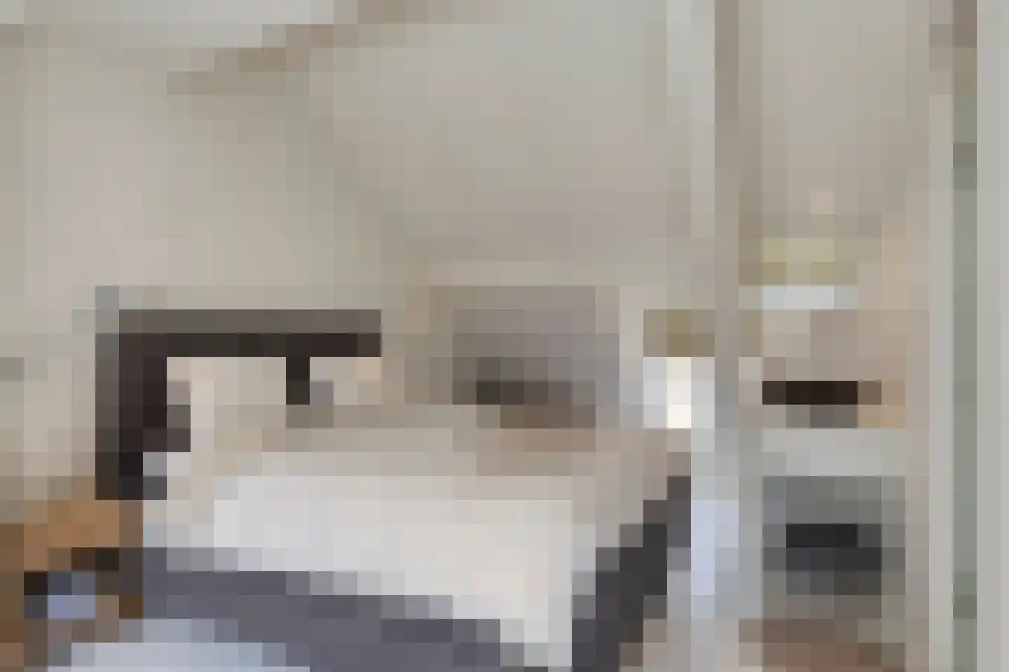 Grote Kade 16 Goes thumbnail 34