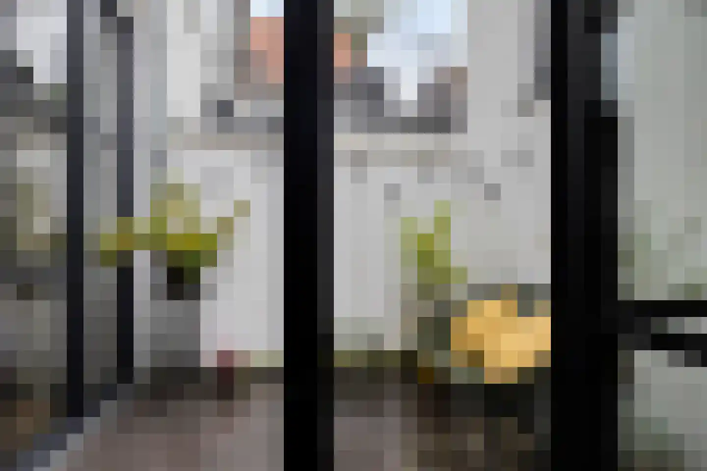 Grote Kade 16 Goes thumbnail 38