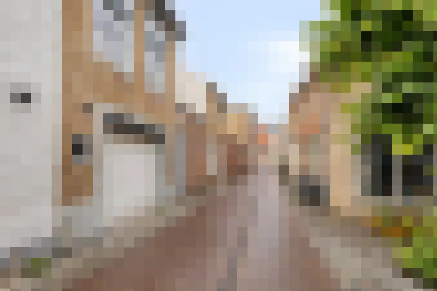 Grote Kade 16 Goes thumbnail 42