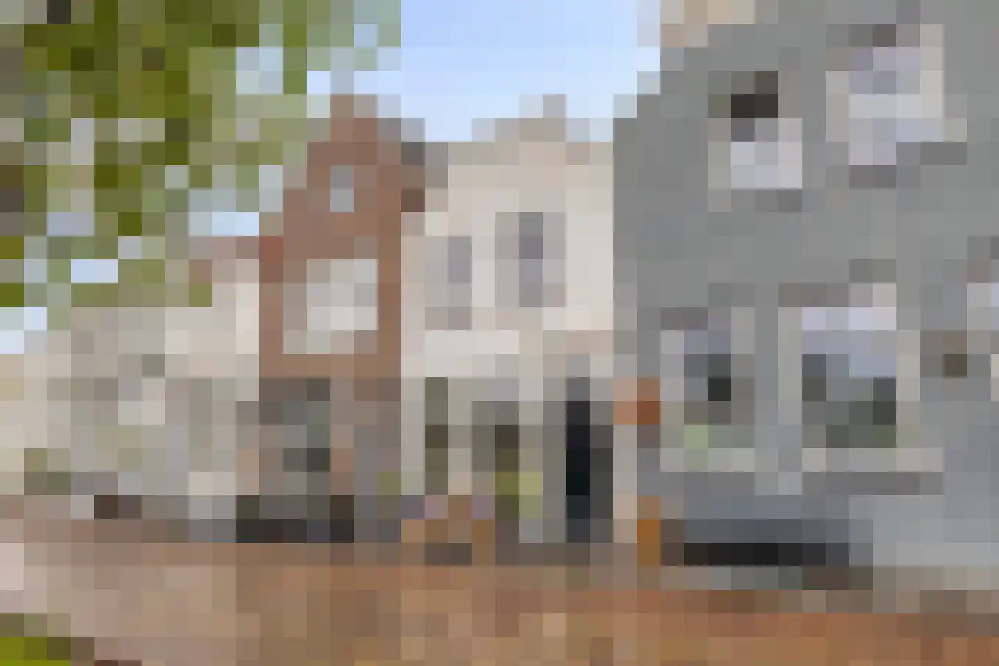 Grote Kade 16 Goes thumbnail 47